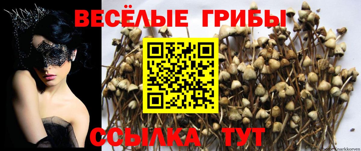 Псилоцибиновые грибы MAGIC MUSHROOMS Майский