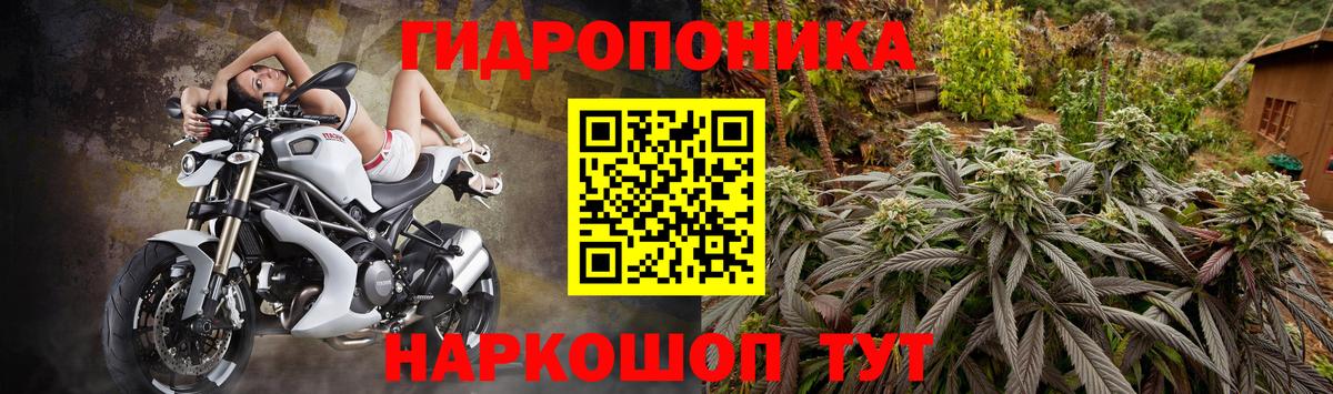 Конопля MAZAR Майский